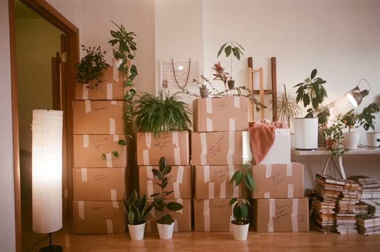 The Box Opening Order I Wish I Had Started With - settling in