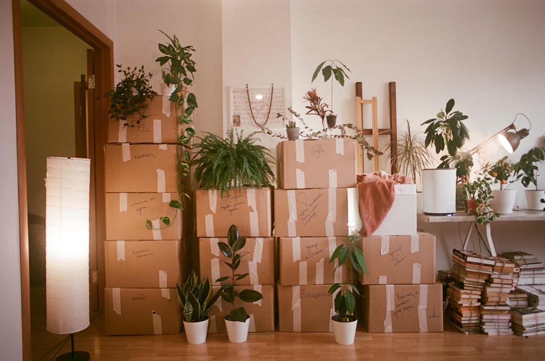 The Box Opening Order I Wish I Had Started With - settling in