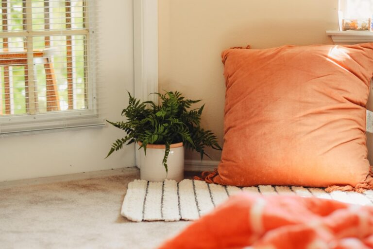 The Corner Between the Couch and the Wall That Collected Nothing but Dust - corners & nooks