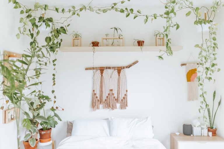Picking Plants That Actually Survive My Apartment - plants & greenery