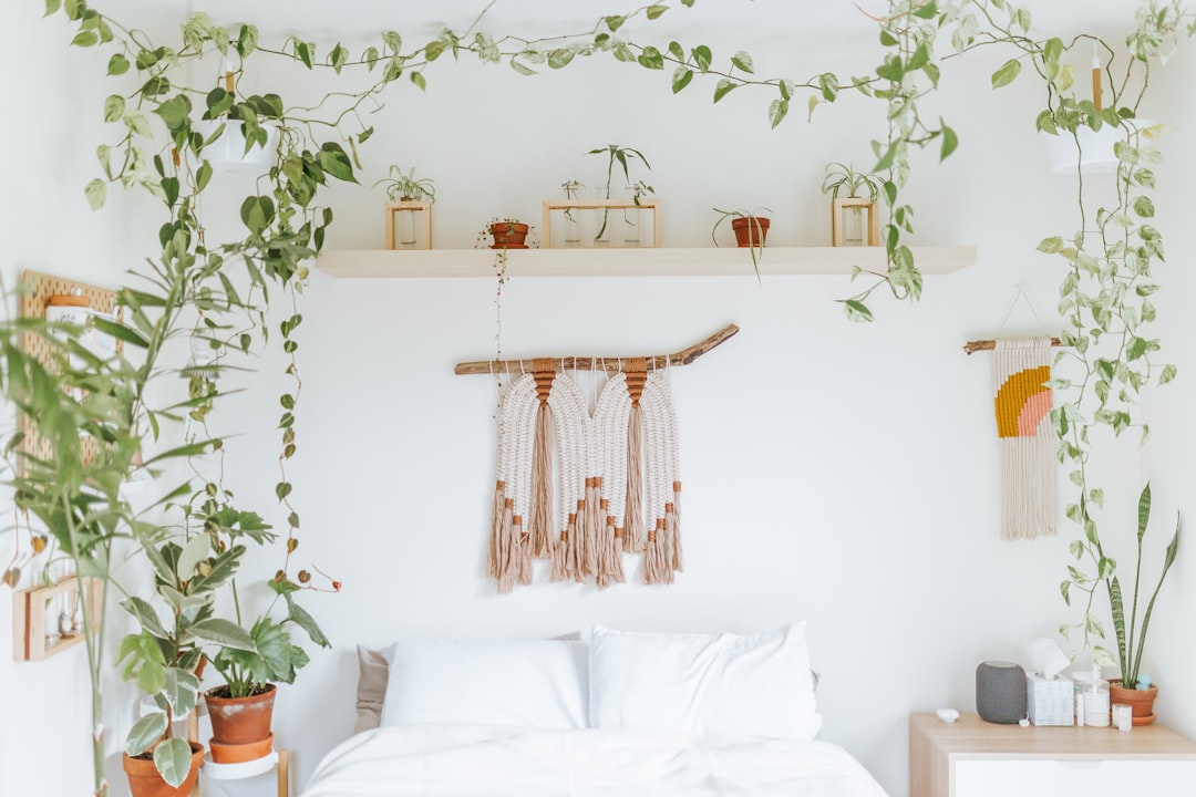 Picking Plants That Actually Survive My Apartment - plants & greenery