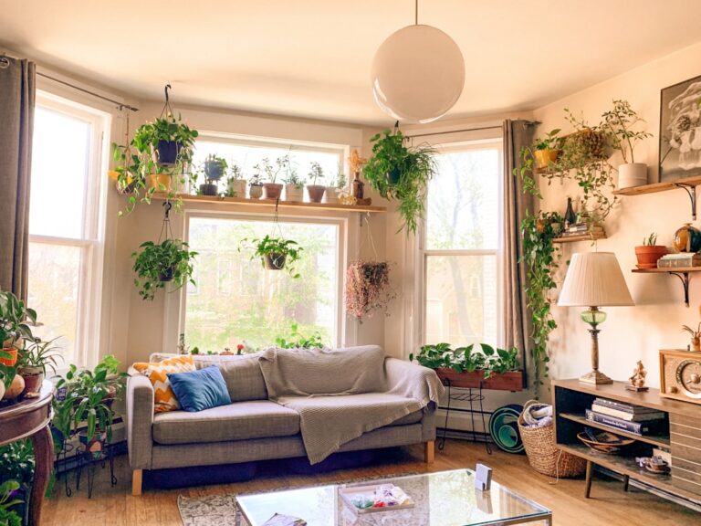 A Watering Schedule Three Plants Taught Me the Hard Way - plants & greenery