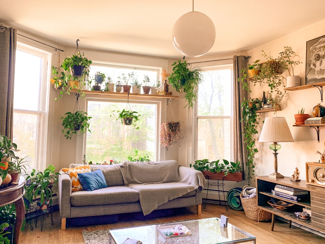 A Watering Schedule Three Plants Taught Me the Hard Way - plants & greenery