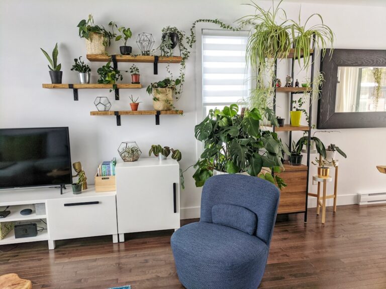 What I Do Differently Before Repotting Now - plants & greenery