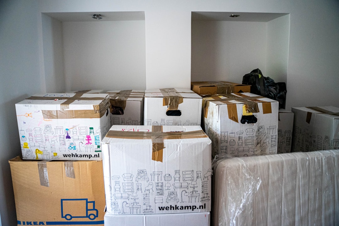 Finding the Kitchen Workflow Before I Unpacked a Single Drawer - settling in