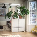 Grouping Plants So They Read as a Collection - plants & greenery