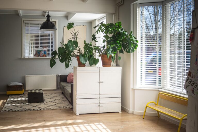 Grouping Plants So They Read as a Collection - plants & greenery